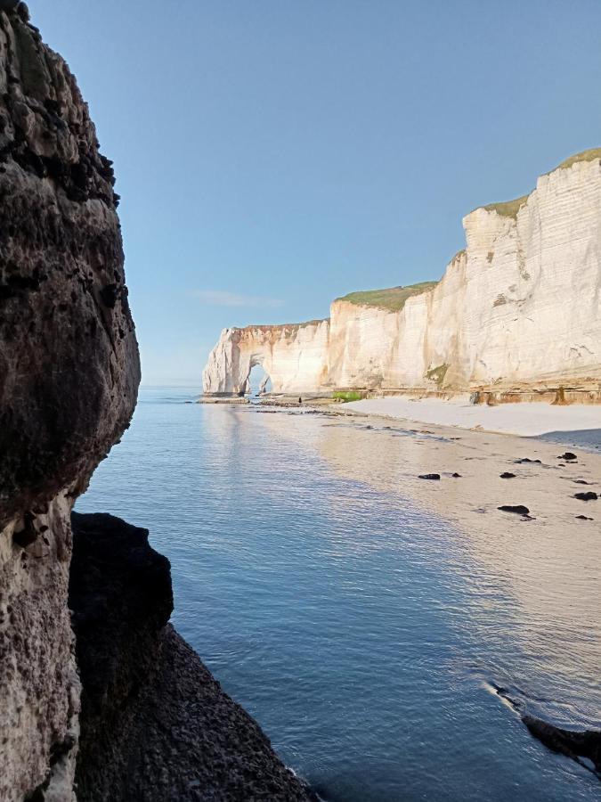 Les Charmes Du Bosquet Parc D'Amour Et Nature Parking Prive Securise Étretat Exterior foto