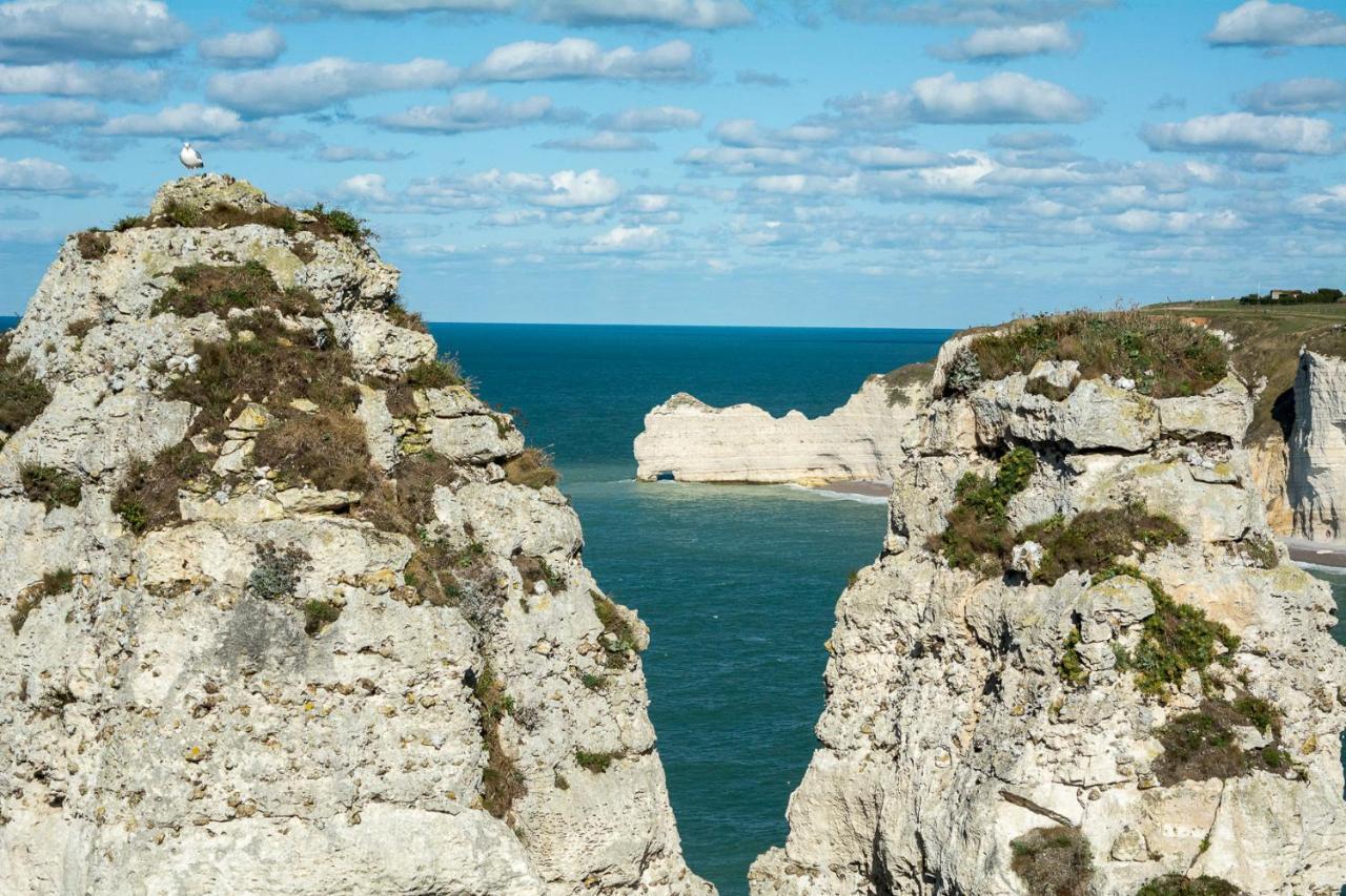 Les Charmes Du Bosquet Parc D'Amour Et Nature Parking Prive Securise Étretat Exterior foto